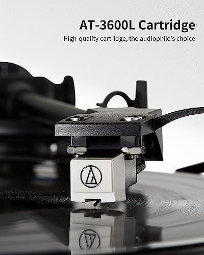 ANGELS HORN Vinyl Record Player, Hi-Fi System Bluetooth Turntable Players - Image 2
